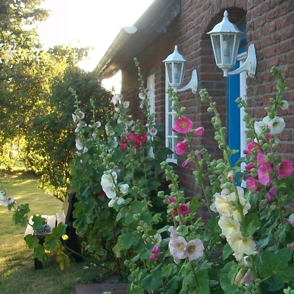 Haus Wolfram App Jonny Morsumer Kliff Morsum  Exterior foto
